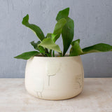 Slip Brushstroke Vessel - White with oxide