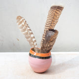 Liquorice All Sorts - Pinched Little Vessel