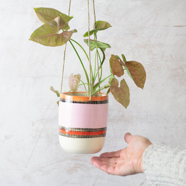 Liquorice All Sorts Medium Hanging Planter - Dusty Pink, Nasturtium, Indian Red