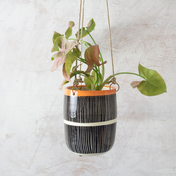 Stripey Road Medium Hanging Planter - Nasturtium