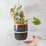 Stripey Road Medium Hanging Planter - Nasturtium