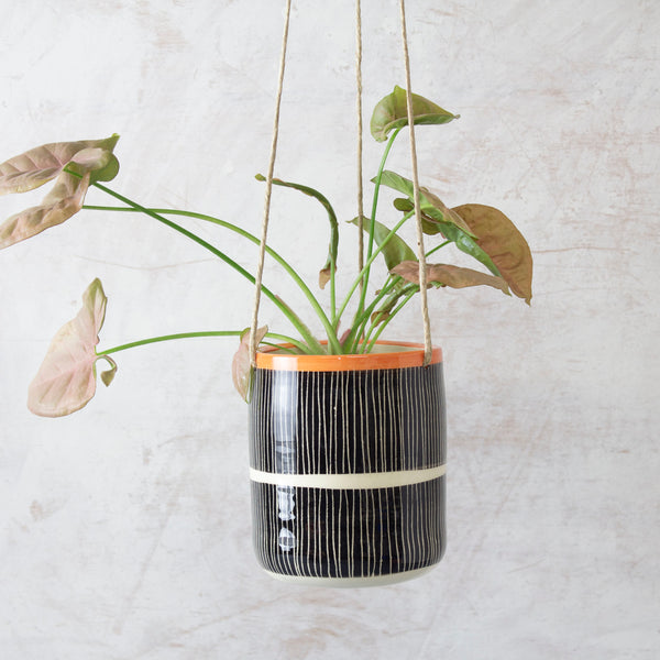 Stripey Road Medium Hanging Planter - Nasturtium