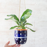 Vertical Tracks Medium Hanging Planter - Indigo & Nasturtium