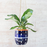 Vertical Tracks Medium Hanging Planter - Indigo & Nasturtium