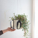 Elliptical Jumbo Hanging Planter  - Black