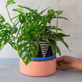 Tri Burst L Jumbo Planter - Black Watermelon & Electrc Blue