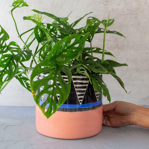Tri Burst L Jumbo Planter - Black Watermelon & Electrc Blue