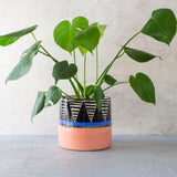 Tri Burst L Jumbo Planter - Black Watermelon & Electrc Blue
