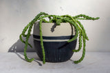 Half Blue Steel with Stripe - Vessel // Planter