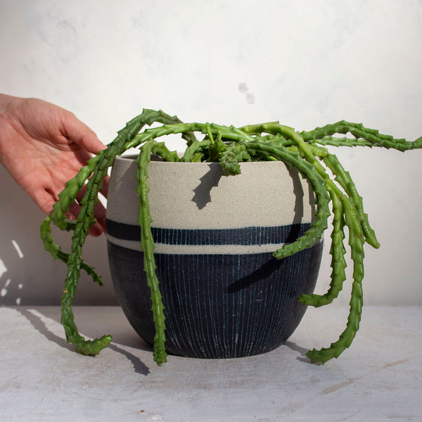Half Blue Steel with Stripe - Vessel // Planter