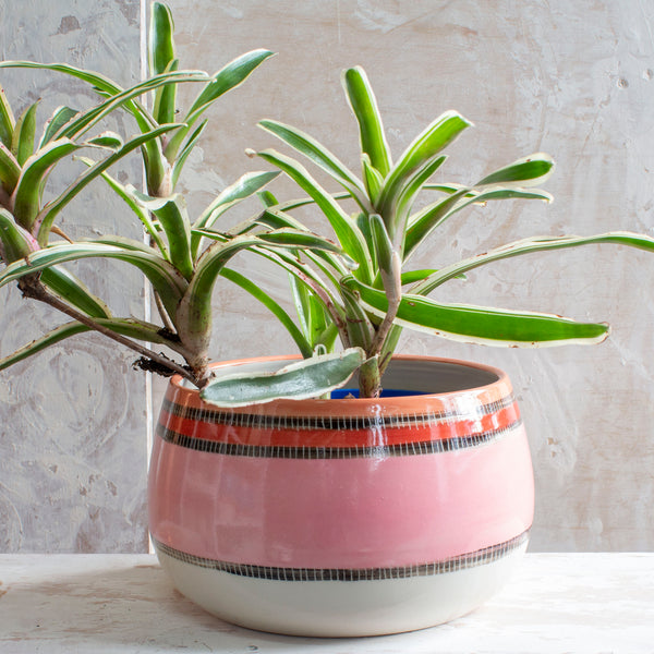 Liquorice All Sorts Bowl // Planter