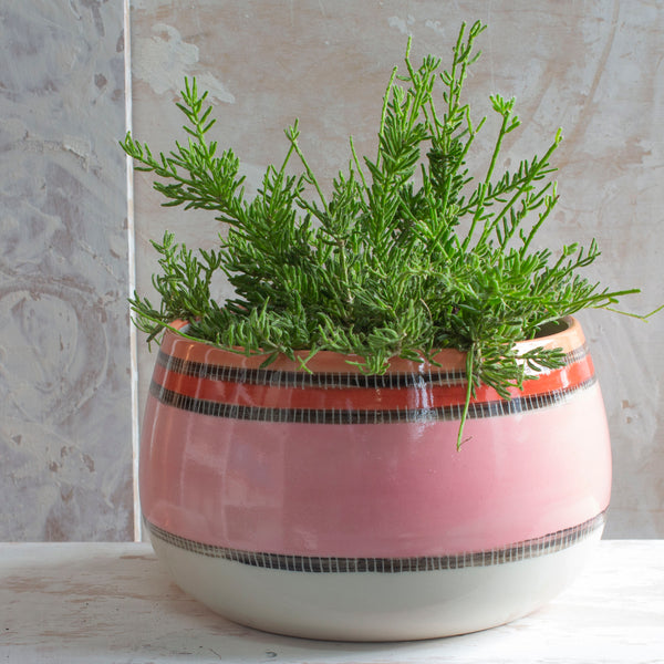 Liquorice All Sorts Bowl // Planter