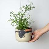 Think Ahead Lg Hanging Planter
