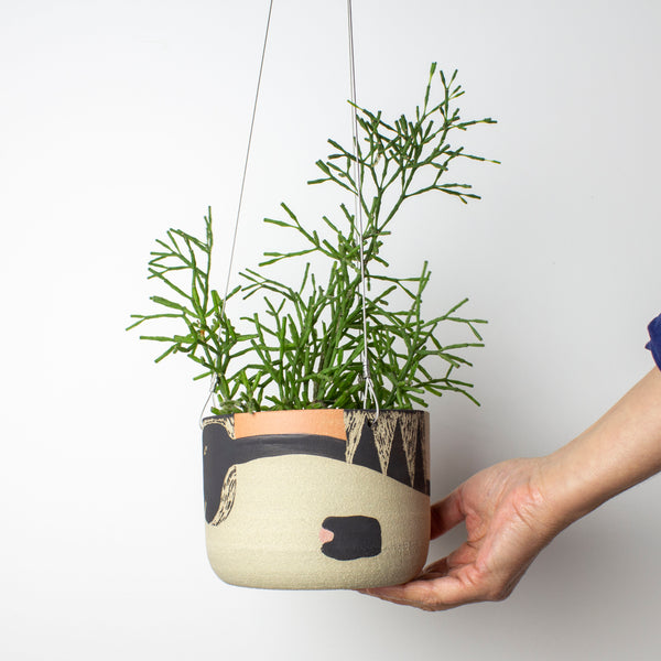 Think Ahead Lg Hanging Planter