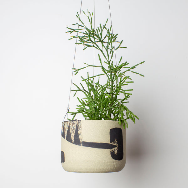 Think Ahead Lg Hanging Planter