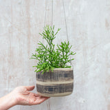 Textured Linear Stripe - Large Hanging Planter