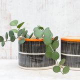 Stripey Road  Large Planter - Black & Nasturtium