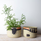 Think Ahead - Lg Planter