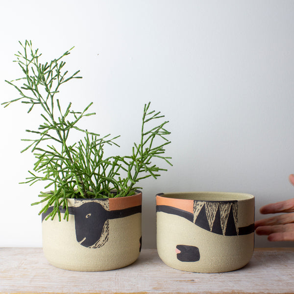 Think Ahead - Lg Planter