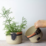 Think Ahead - Lg Planter