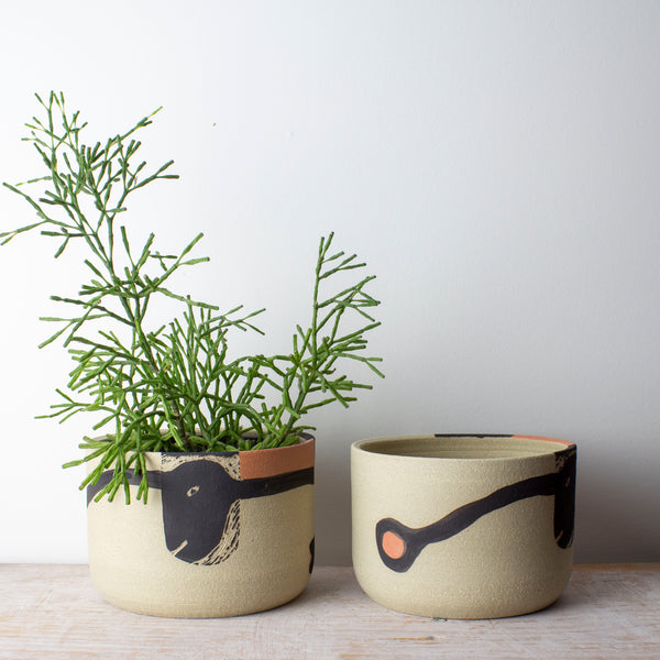 Think Ahead - Lg Planter
