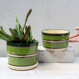 Moss Stitches - Lg Planter