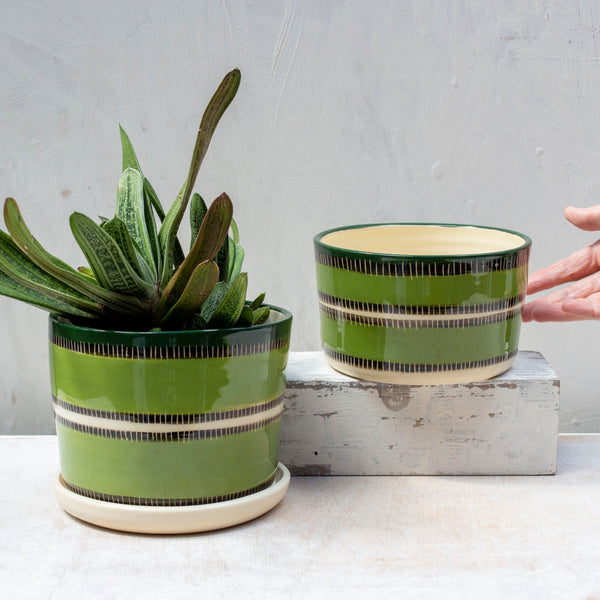 Moss Stitches - Lg Planter