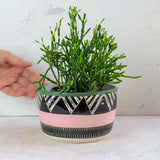 Tri-Burst - Lg Planter