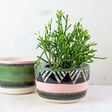 Tri-Burst - Lg Planter