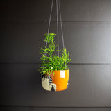 Earth Pathways - Large Hanging Planter