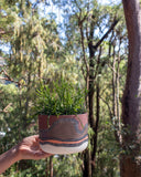 Landscape - Lg Hanging Planter