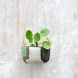Moss Pathways Large Hanging Planter - Black, Moss and Forest Green