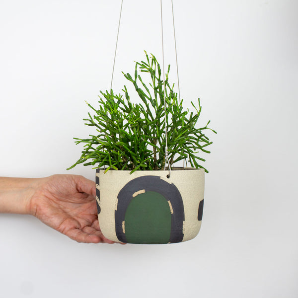 Moss Pathways - Large Hanging Planter