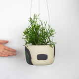 Moss Pathways - Large Hanging Planter