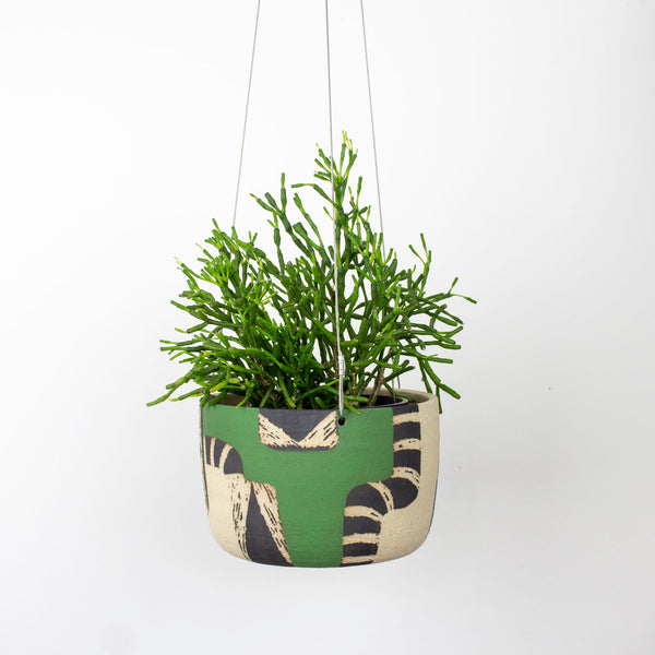 Moss Pathways - Large Hanging Planter