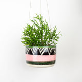 Tri Burst - Lg Hanging Planter