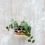 TriBurst - Large Hanging Planter