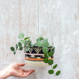 TriBurst - Large Hanging Planter