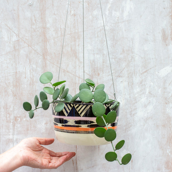 TriBurst - Large Hanging Planter