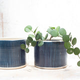 Blue Steel X Lg Planter