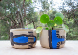 Electric Pathways Lg Planter - Black and Electric blue