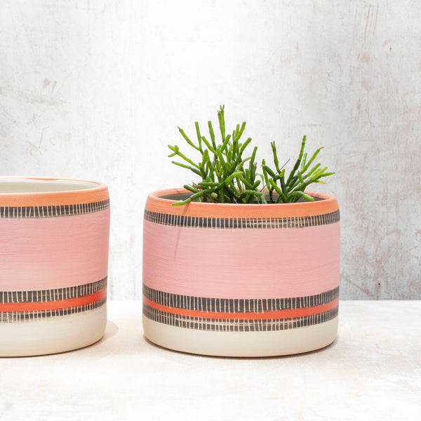 Textured Liquorice All Sorts - Large Planter