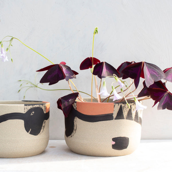 Think Ahead - Lg Planter