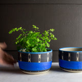 Tracks Lg Planter - Black and Electric blue