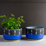 Tracks Lg Planter - Black and Electric blue
