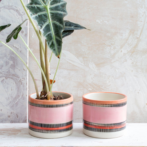 Liquorice All Sorts Little Planter - Dusty pink