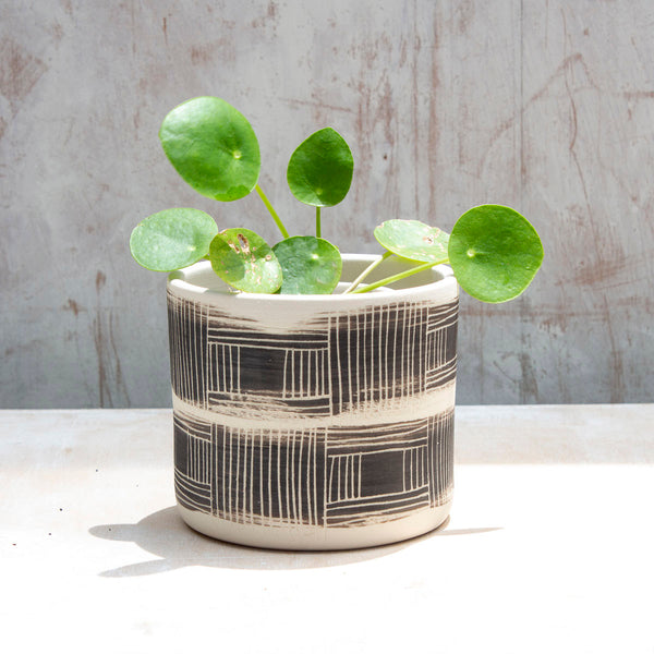 Textured Linear Stripe Little Planter - Black