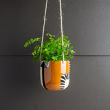 Earth Pathways - Medium Hanging Planter