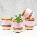 Liquorice All Sorts Medium Planter - Dusty Pink