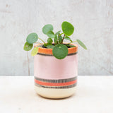 Liquorice All Sorts Medium Planter - Dusty Pink